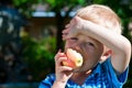 Cute boy eating apple in a garden. Royalty Free Stock Photo