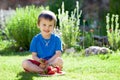 Cute boy eating strawberries Royalty Free Stock Photo