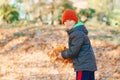 Cute boy has a fun in autumn leaves. Happy and healthy childhood. Autumn sunny day. Boy throwing fallen maple leaves