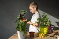 A cute boy is holding a calathea flower in a pot. Care of home plants, fertilize the soil Royalty Free Stock Photo