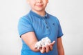 Cute boy holding paper bin full of crumpled papers surprised with an idea. promoting recycling of used paper