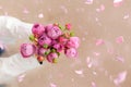 Cute boy holding pink roses bunch flowers for mother a with falling petals. Greeting card for Mother`s Day Royalty Free Stock Photo