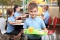 Cute boy holding tray with healthy food