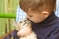 Cute boy and kitten Royalty Free Stock Photo