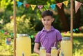 Cute boy at lemonade stand in park. Summer refreshing natural