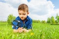 Cute boy with magnifier lays on the green grass Royalty Free Stock Photo