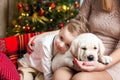 Cute boy with a mom holding a labrador puppy Royalty Free Stock Photo