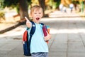 Cute boy with notebooks and backpack are ready to study. Back to school concept. Smart schoolboy holding books outdoors Royalty Free Stock Photo