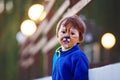 Cute boy with painted face as a lion, having fun Royalty Free Stock Photo