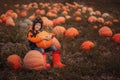 Cute boy picking out a pumpkin at pumpkin field at fall. Royalty Free Stock Photo