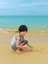 Cute boy playing on the beach Royalty Free Stock Photo