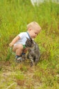 Cute boy playing with a cat Royalty Free Stock Photo