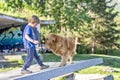 cute boy playing with his dog Golden Retriever outdoors Royalty Free Stock Photo