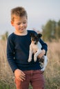 Cute boy playing with his dog in the meadow. Little puppy jack russel terrier on the walk with owner Royalty Free Stock Photo