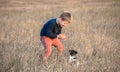 Cute boy playing with his dog in the meadow. Little puppy jack russel terrier on the walk with owner Royalty Free Stock Photo
