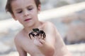 Cute boy, playing with little crab on the beach Royalty Free Stock Photo