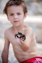 Cute boy, playing with little crab on the beach