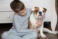 Cute boy plays on the floor on a carpet with puppies of English bulldog Royalty Free Stock Photo