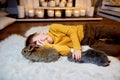 a cute boy plays with grey rabbits laughing shyly. Royalty Free Stock Photo