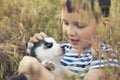 A cute boy plays with husky puppy sitting in grass on a meadow. Puppy in the hands of a child Royalty Free Stock Photo