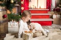 Cute boy plays with a labrador puppy Royalty Free Stock Photo