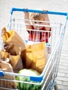 Cute boy pushes shopping trolley