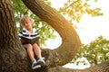 Cute little boy reading book on tree in park Royalty Free Stock Photo