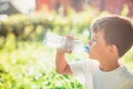 Cute boy sitting on the grass drinks water from a bottle in the summer at sunset. Child quenches thirst on a hot day Royalty Free Stock Photo