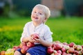 Cute boy sitting on heap of apples and eating ripe apple Royalty Free Stock Photo