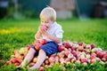 Cute boy sitting on heap of apples and eating ripe apple Royalty Free Stock Photo