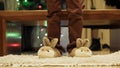 Cute boy sitting near the Christmas tree and playing with his new bunny slippers.