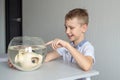 A cute boy is sitting near a transparent aquarium in the room and tapping on the aquarium with his finger Royalty Free Stock Photo