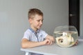 A cute boy is sitting near a transparent aquarium in the room and tapping on the aquarium with his finger Royalty Free Stock Photo