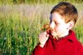 Cute boy is smelling strawberries Royalty Free Stock Photo