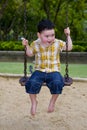 Cute boy on a swing Royalty Free Stock Photo