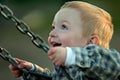 Cute boy on swing Royalty Free Stock Photo