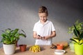 A cute boy takes care of indoor flowers, prepares a tool for the soil Royalty Free Stock Photo