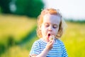 Handsome boy toddler blowing dandelion seeds in the Park