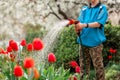 Cute boy watering plants from the hose, makes a rain in the garden. Child helping parents to grow flowers Royalty Free Stock Photo