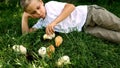 A cute boy of 7 years old plays in a meadow with small fluffy chickens. The child& x27;s communication with nature Royalty Free Stock Photo