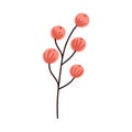 cute branch with leafs decorative icon Royalty Free Stock Photo
