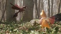 A cute brave elf fights with a magic elven sword with a terrible dangerous flying insect in a summer magic forest. Magic