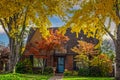 Cute brick cottage in autumn with two  large yellow ginko trees and colorful maple trees - pumpkins on porch -early dusk sky with Royalty Free Stock Photo