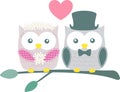 Cute bride and groom owls