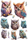 Cute bright owls in cartoon style sticker pack