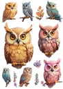 Cute bright owls in cartoon style sticker pack