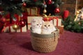 Cute British chinchilla kittens are sitting in a basket under a Christmas tree with gifts Royalty Free Stock Photo