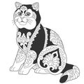 Cute British shorthair cat design