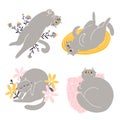 Cute british shorthair cat vector collection 2