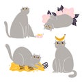 Cute british shorthair cat vector collection 3